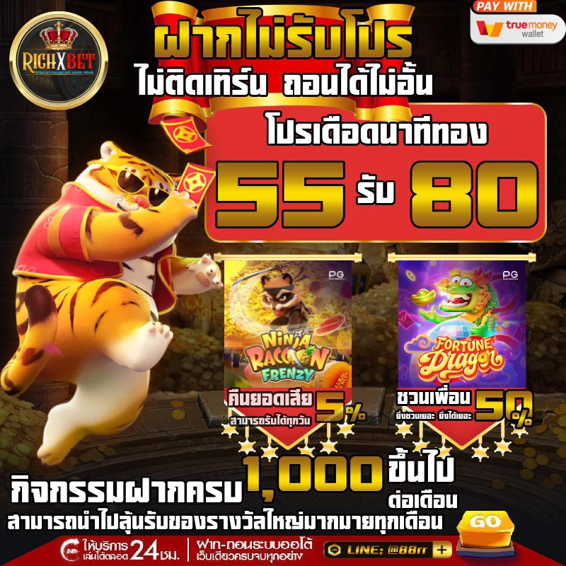 คำแนะนำสำหรับผู้เริ่มต้น PGSLOT